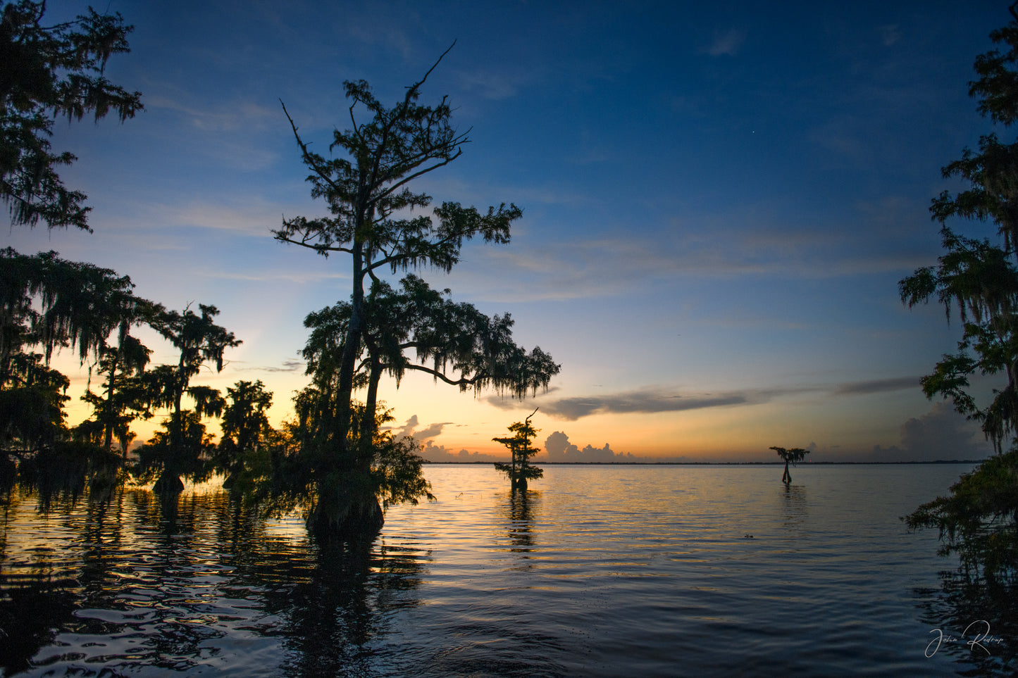 Reflections of Dawn Blue Cypress Lake Sunrise | Fine Art Landscape Metal Print