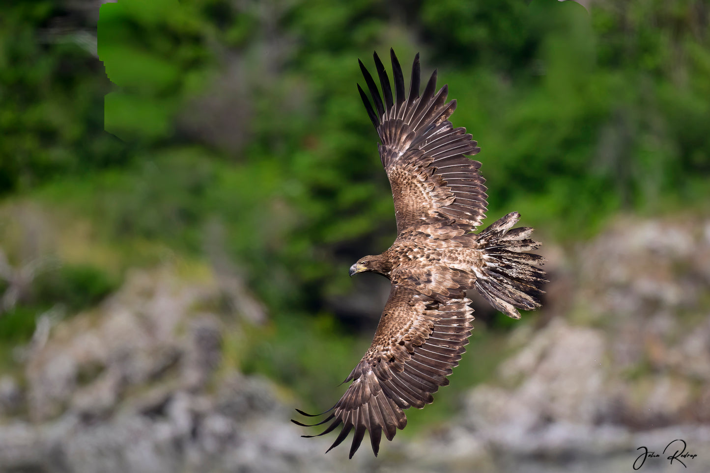 Master of the Wind
