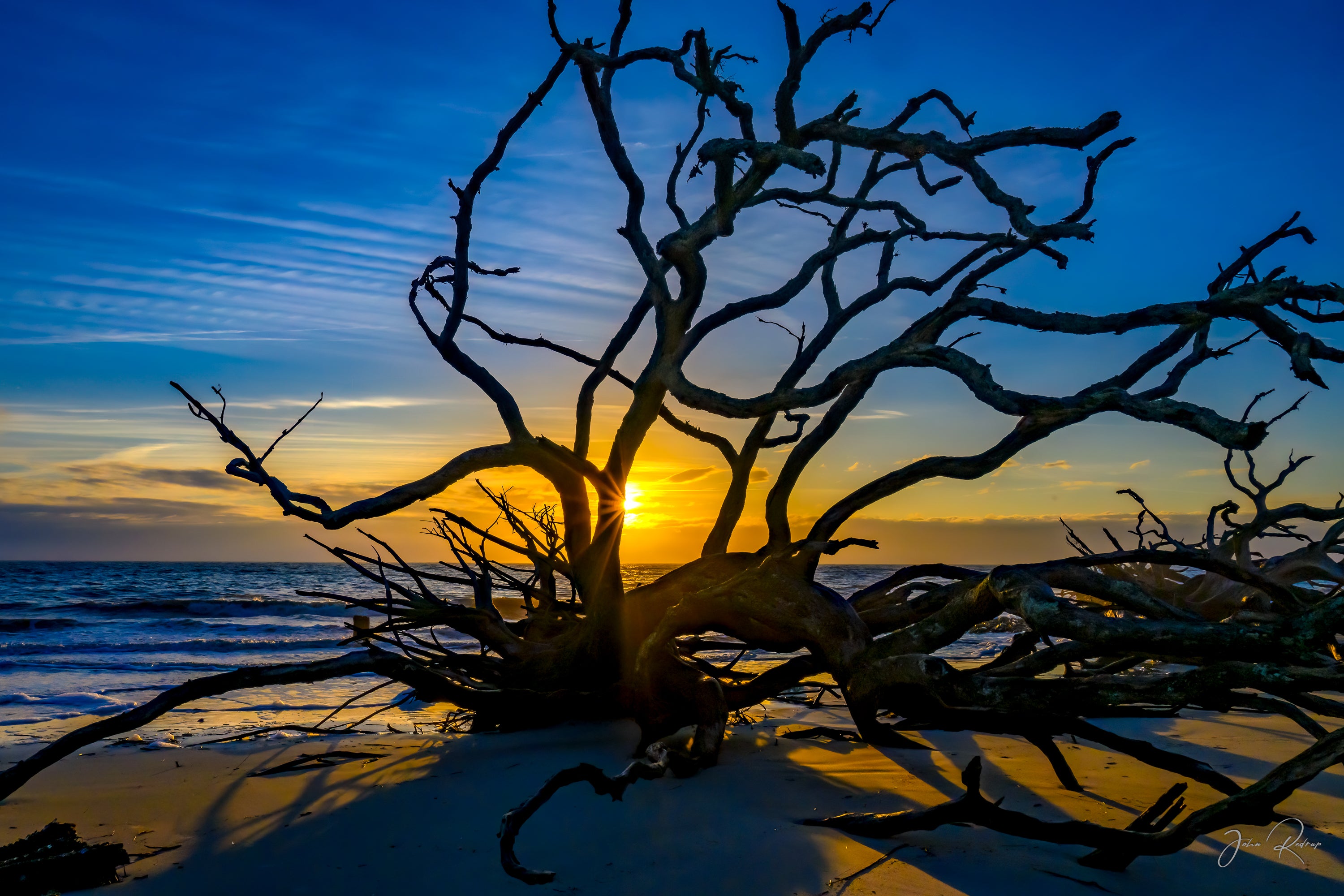 Driftwood Sunrise Jekyll Island, Georgia Coast | Fine Art